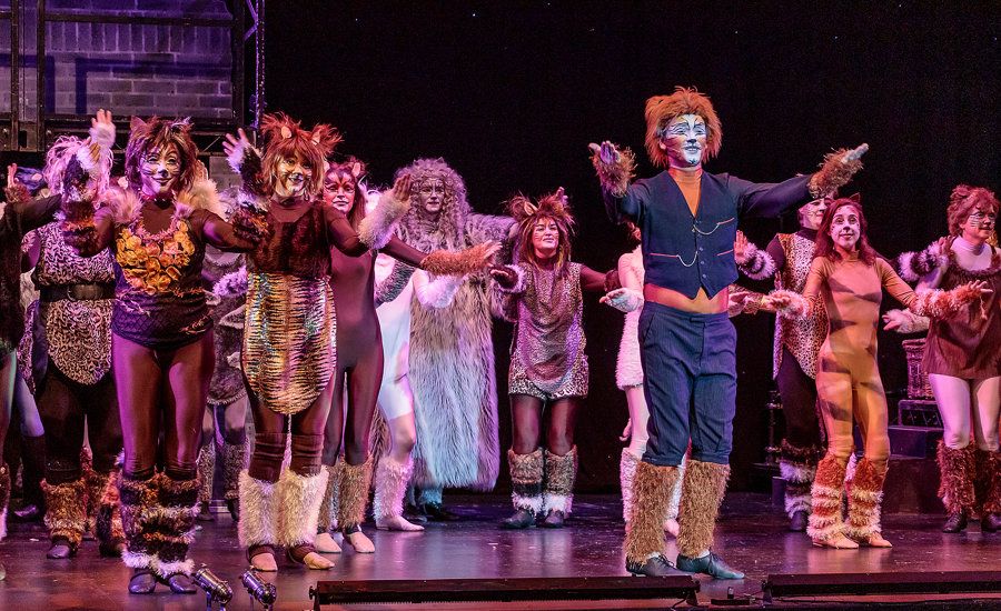 Thanks from the cast of Cats, 2019